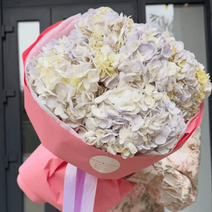 Гортензия пышный букет