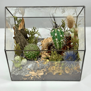 Золотая лихорадка