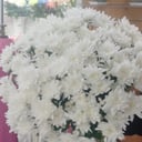 Букет «Хризантемы кустовые»