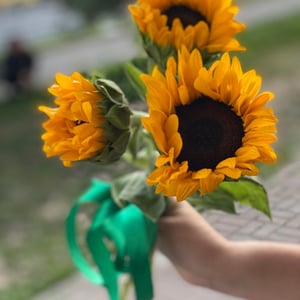 Букет «Джубили» из подсолнухов