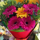 Букет «Герберы»