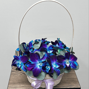 Орхидея Космос в корзине M