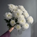 Букет из 3 кустовых хризантем