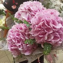 Букет «Музыка сфер» из гортензий