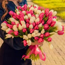 Букет из белых и розовых тюльпанов 101 шт
