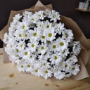 Букет «15 хризантем»