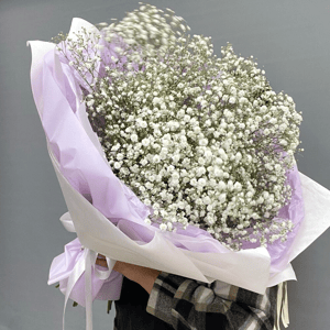 Букет из белой гипсофилы