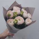 Букет «9 нежно-розовых ранункулюсов»