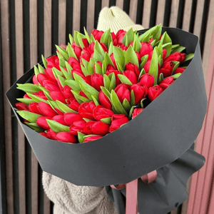 Букет из красных тюльпанов 101 шт