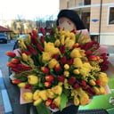 Букет из 101 Тюльпана микс