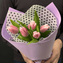 Букет из 5 тюльпанов
