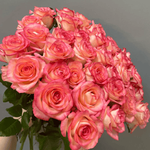 Монобукет из 31 розы Джумилия