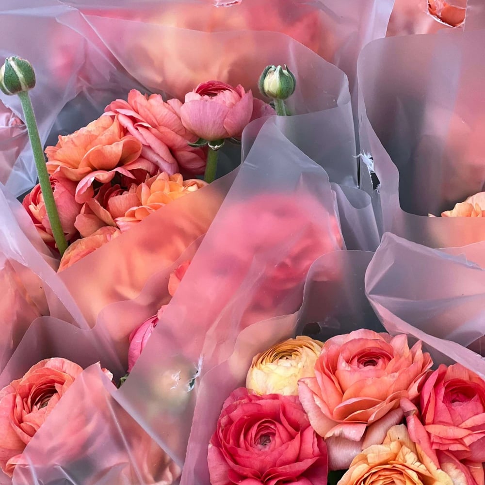 Flower delivery in Antioch CA