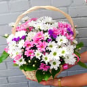 Корзина с хризантемами