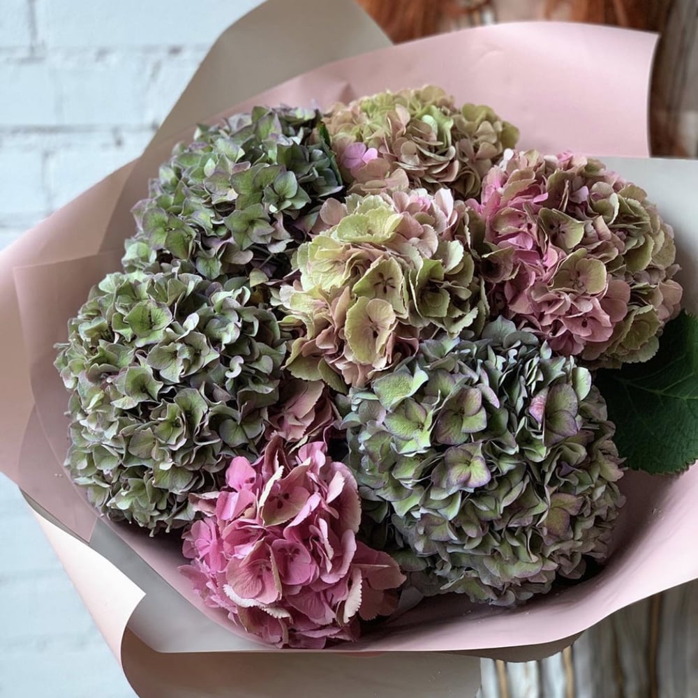 Букет из 7 гортензий
