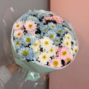 Букет из разноцветных 11 хризантем