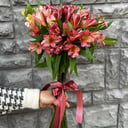 Монобукет из 13 Альстромерий