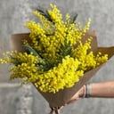 Букет «Мимоза»