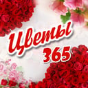 ЦВЕТЫ 365