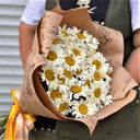 Букет «21 ромашка»