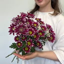 Букет «Хризантема кустовая 5 шт с лентой»