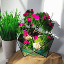 Моссариум флорариум Пробуждение весны