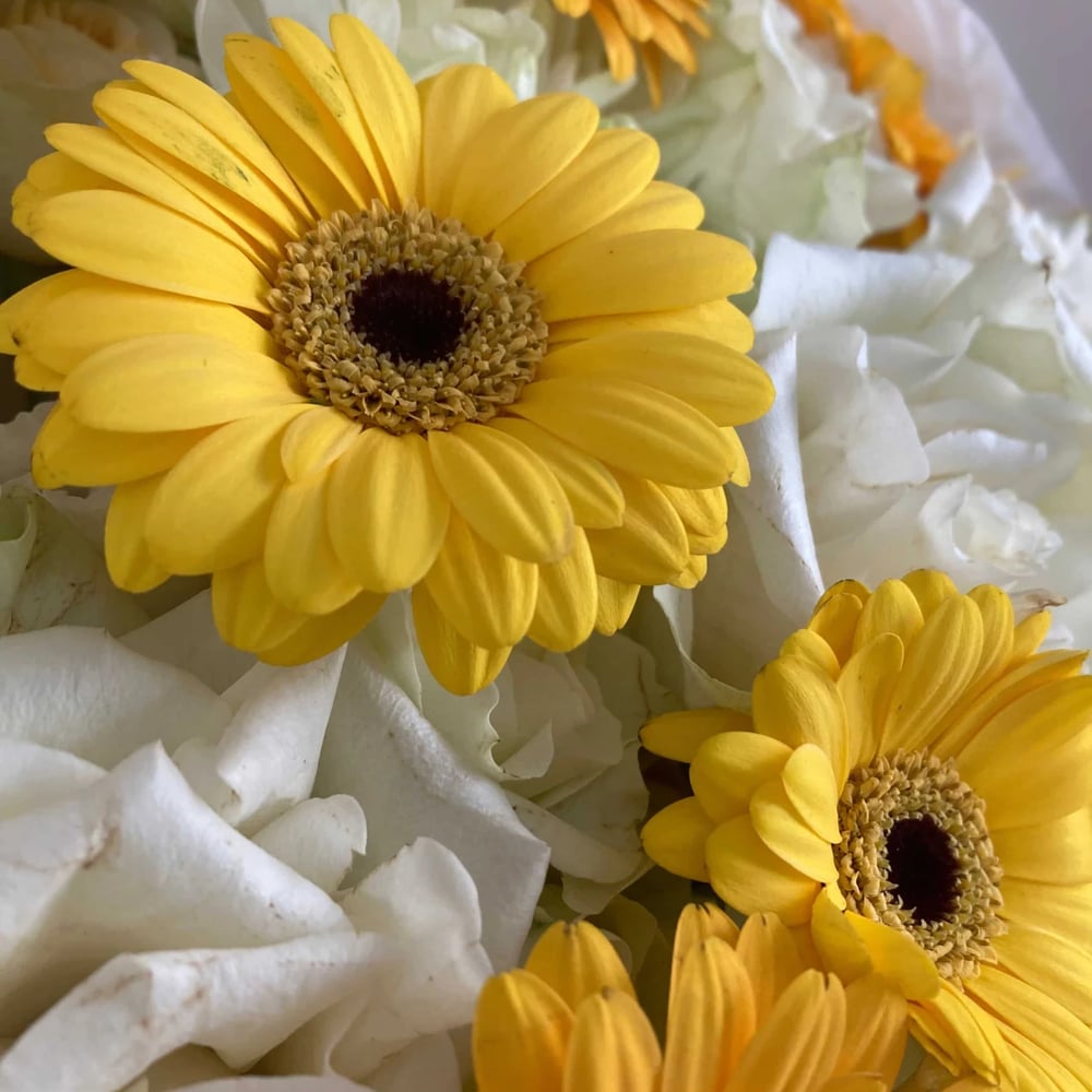 Flowers in Greece