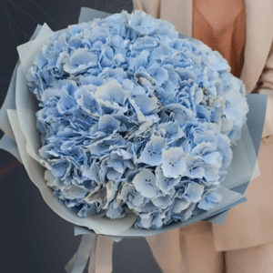 Букет из 7 голубых гортензий
