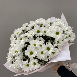 Букет «Ромашковое поле»