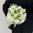 Букет из альстромерии "Облако"