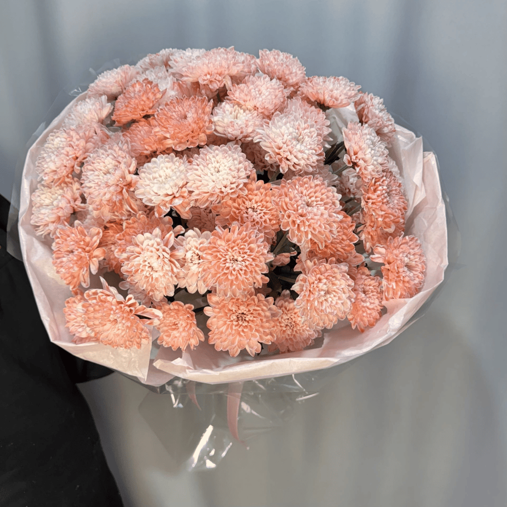 Монобукет персиковых хризантем