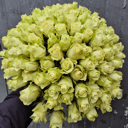 Букет «101 белая роза»